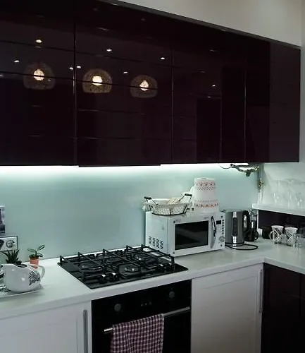 Luxury 1 Bedroom On Boykivska *