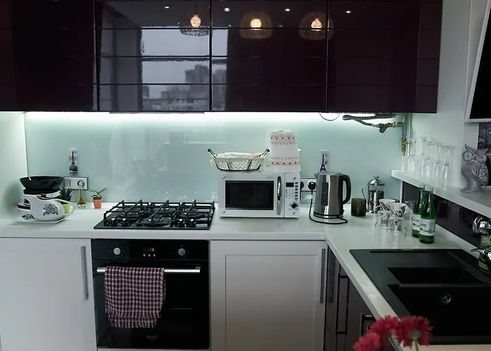 Luxury 1 Bedroom On Boykivska * Lvov