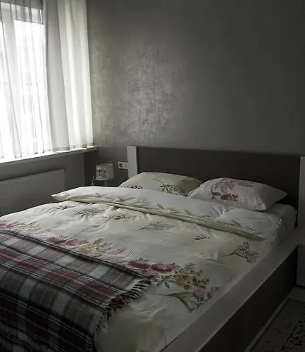 Daire Luxury 1 Bedroom On Boykivska *