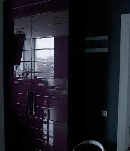 Luxury 1 Bedroom On Boykivska Lviv