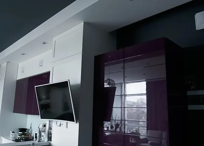 Luxury 1 Bedroom On Boykivska Lviv