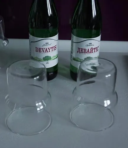 Luxury 1 Bedroom On Boykivska Lvov