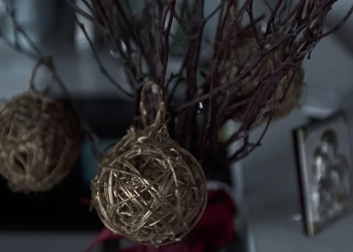 Luxury 1 Bedroom On Boykivska Lvov