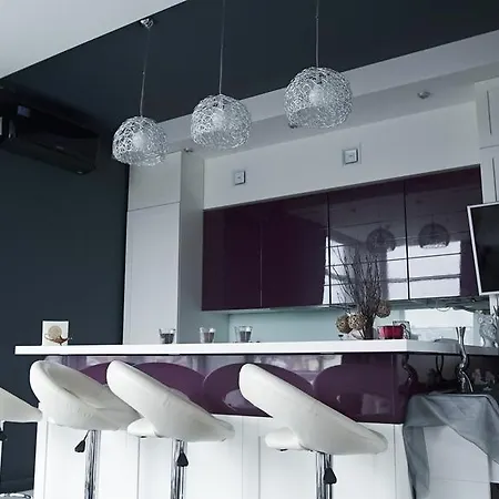 Daire Luxury 1 Bedroom On Boykivska Lviv