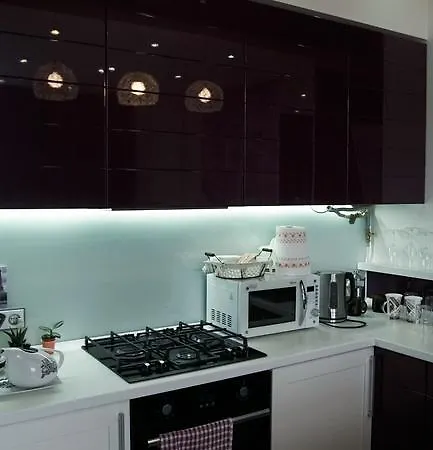 Luxury 1 Bedroom On Boykivska *