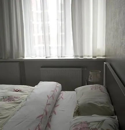 Luxury 1 Bedroom On Boykivska