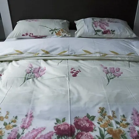 Luxury 1 Bedroom On Boykivska Lviv