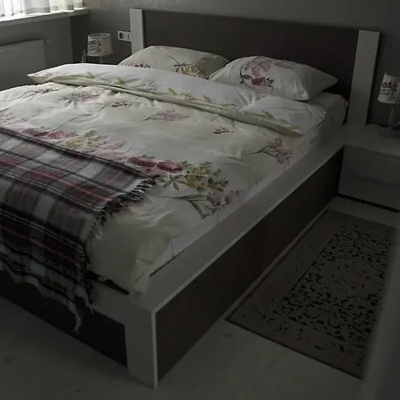 Luxury 1 Bedroom On Boykivska * Lviv