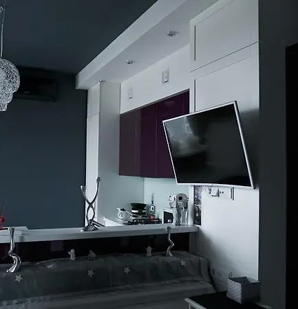 Daire Luxury 1 Bedroom On Boykivska Lviv