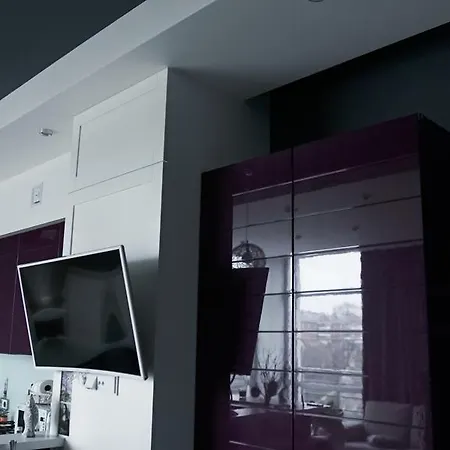 Luxury 1 Bedroom On Boykivska Lviv